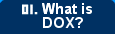 01. What is DOX?